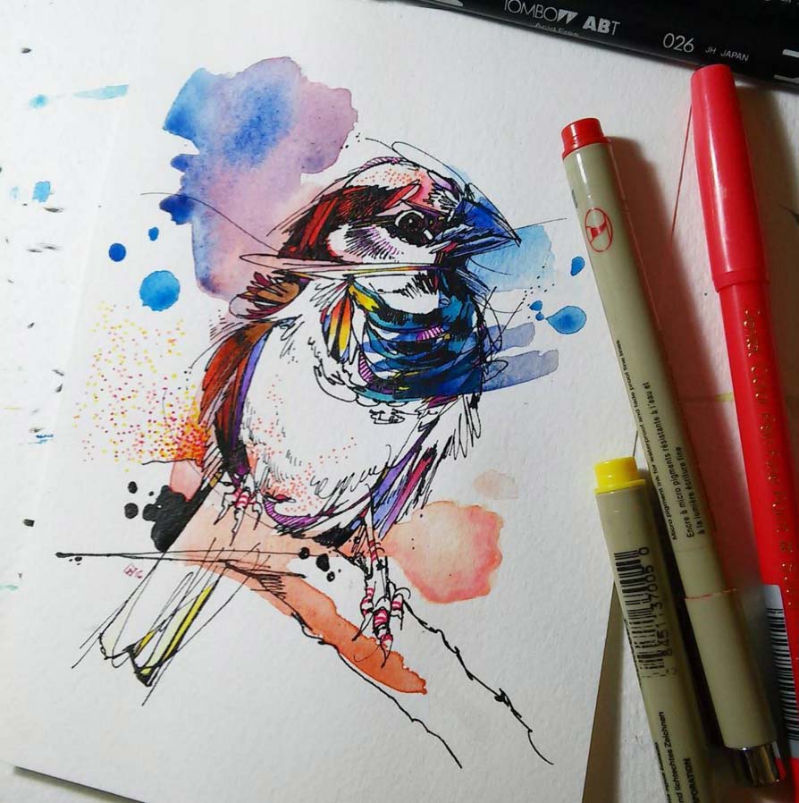 Illustration of a bird with markers