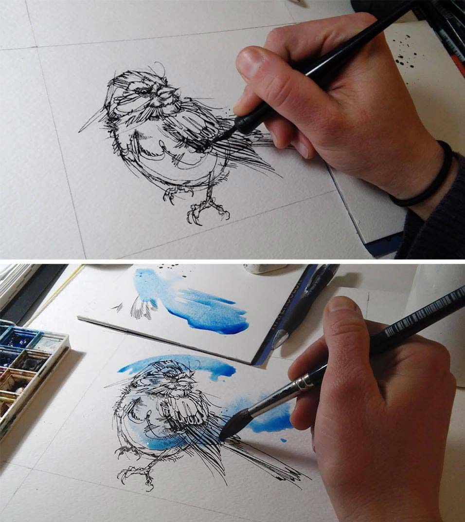 Illustration of a bird at various stages of completion