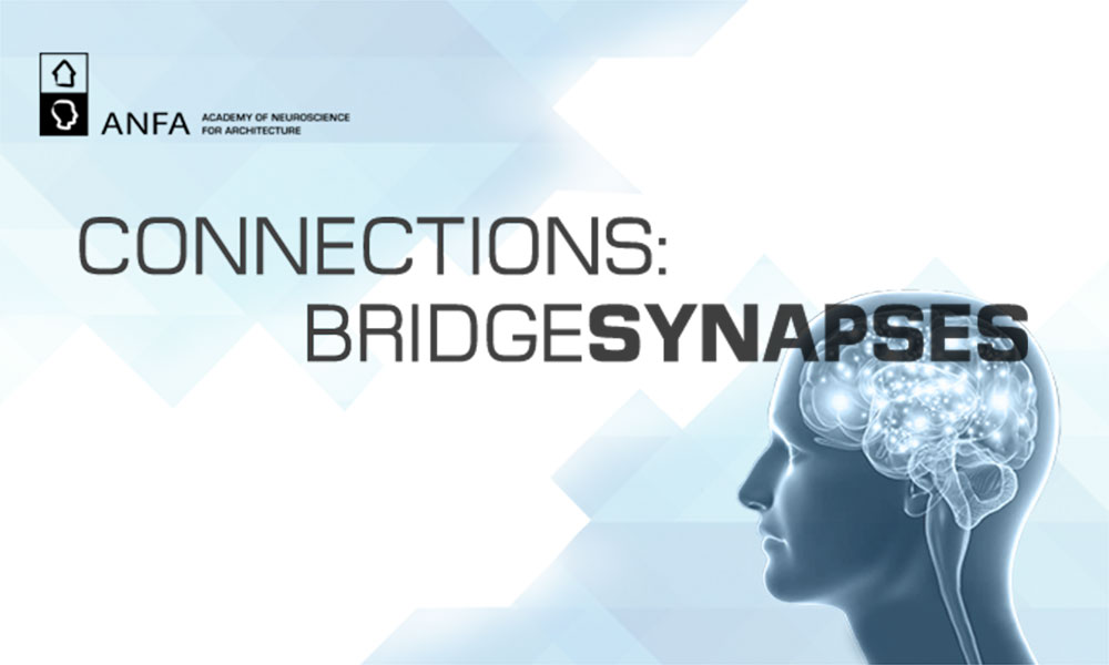 ANFA Connections 2016: Bridge Synapses